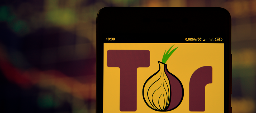 tor logo seen on the smartphone screen